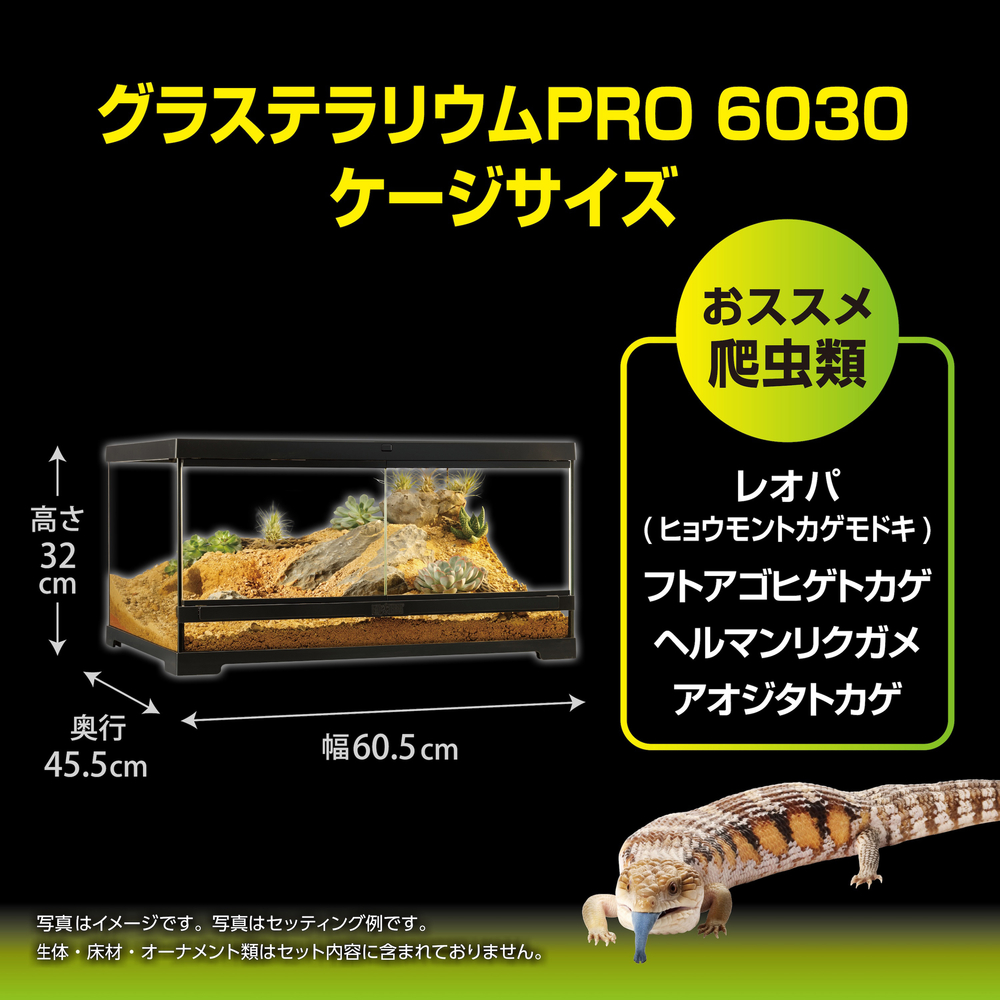 グラステラリウムPRO6030 PT4407 | ジェックス株式会社