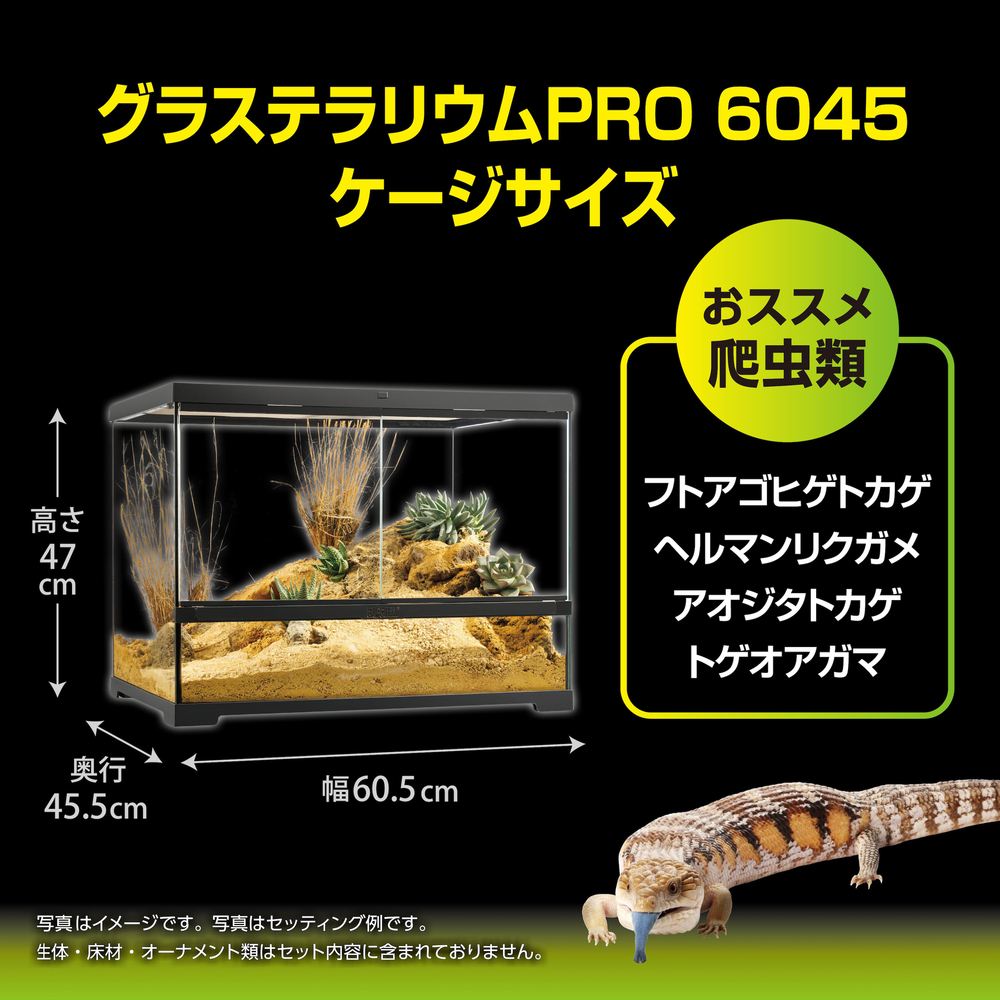 グラステラリウムPRO6045 PT4408 | ジェックス株式会社