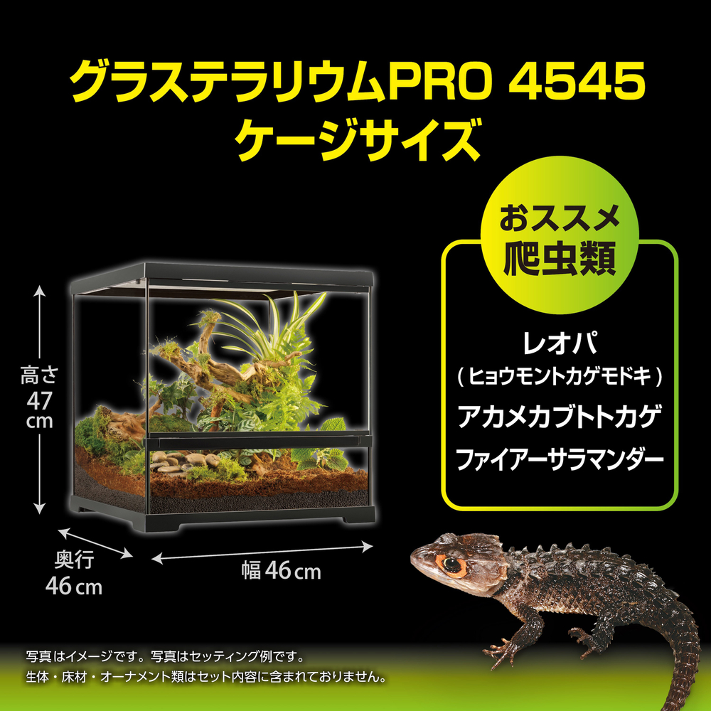 グラステラリウムPRO4545 PT4404 | ジェックス株式会社