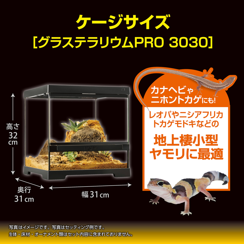 レオパ飼育キット GTP3030 | ジェックス株式会社