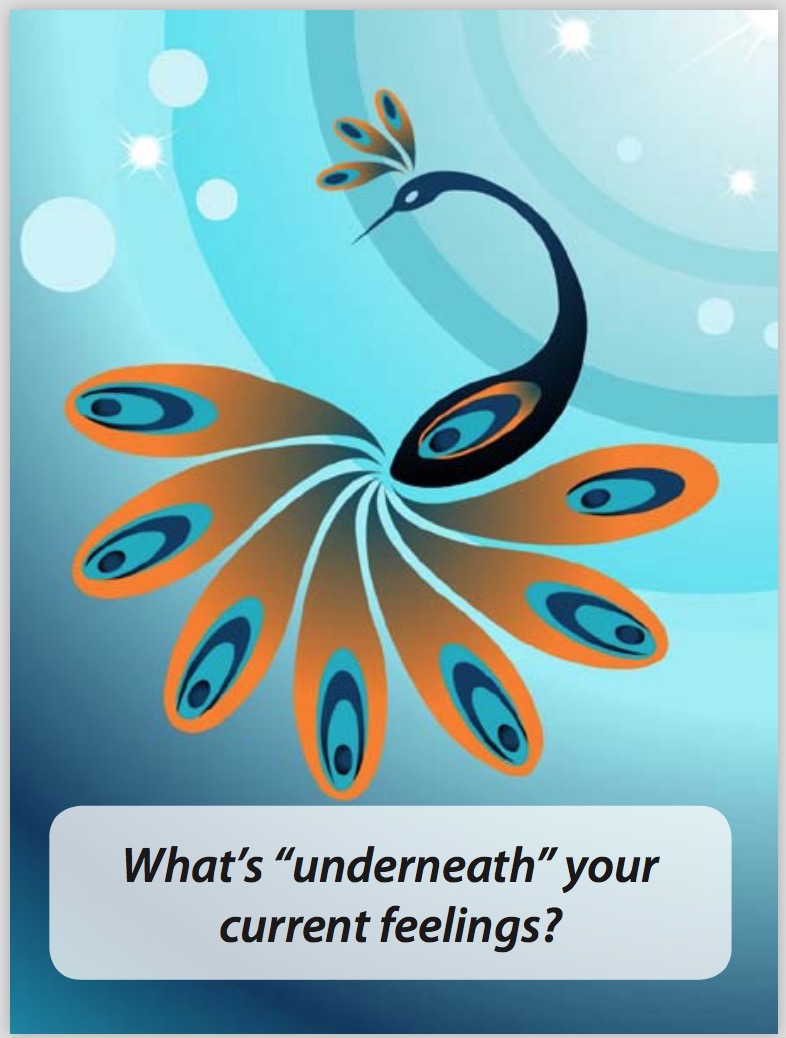 EQ Coach Cards | The EQ Store