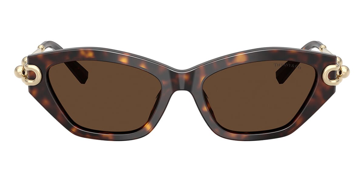 Tiffany & Co TF4231U 8015/3G Sunglasses - US