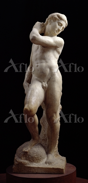 ミケランジェロ 「アポロンの像」 [13980226]のアート作品 - アフロ