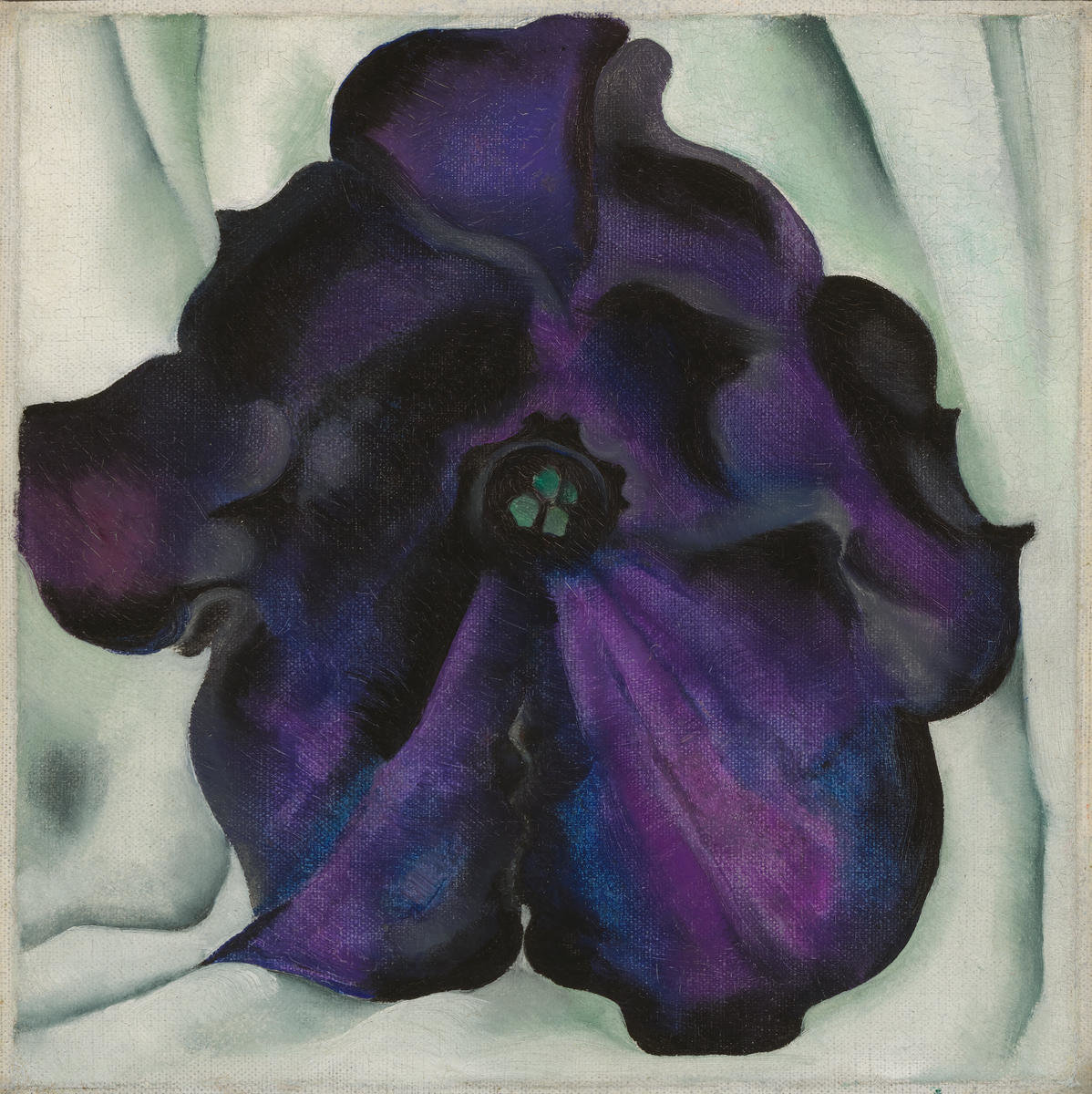 Untitled (Purple Petunia), 1925 by Georgia O'Keeffe - Paper Print