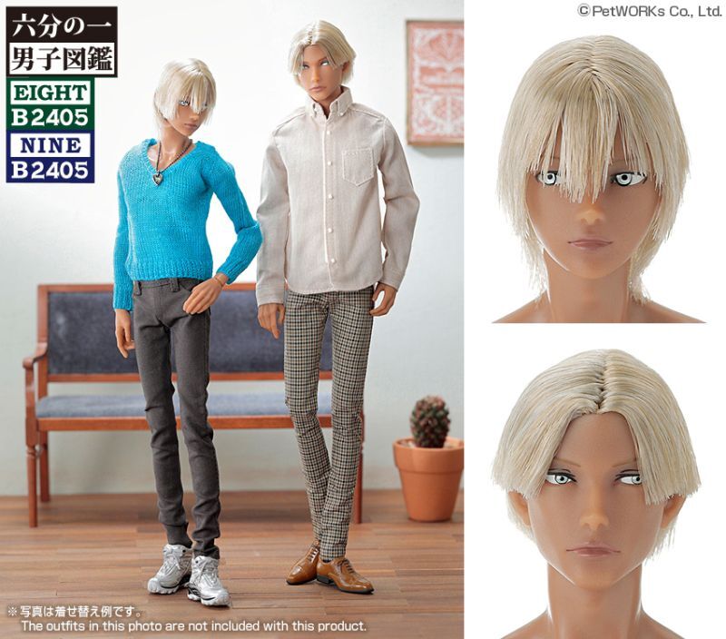 2024年6月28日入庫「六分の一男子図鑑 B2405 エイト / ナイン」