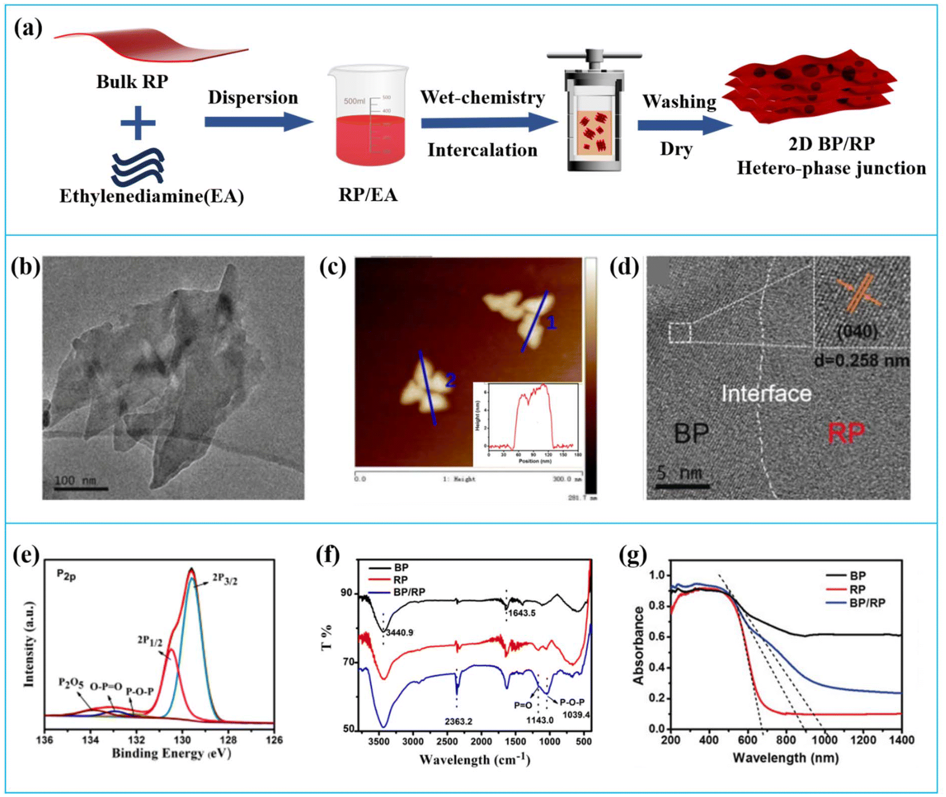 An updated review of few-layer black phosphorus serving as a