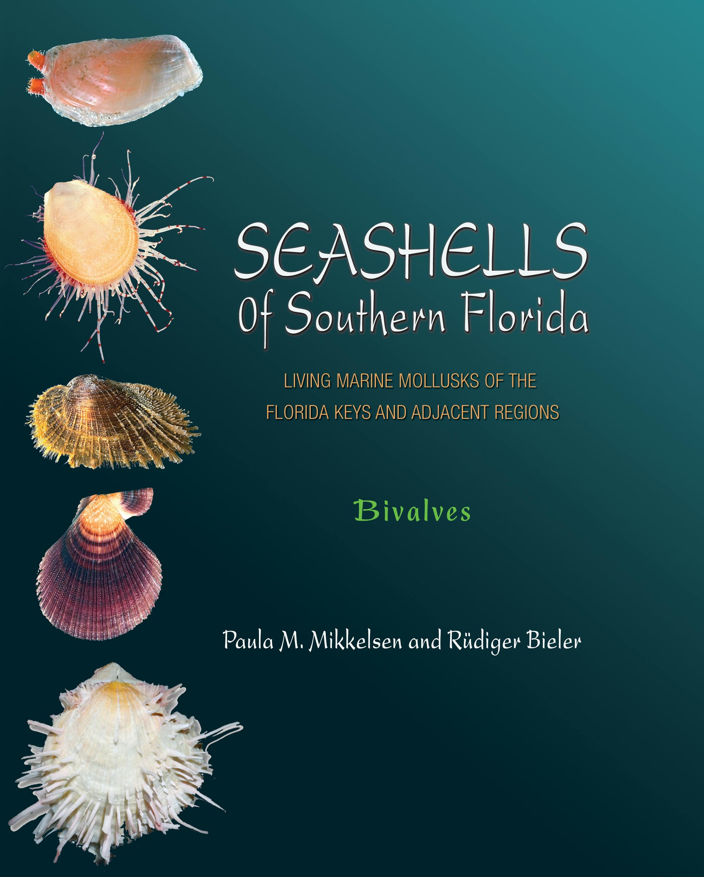 Seashells of Southern Florida | Princeton University Press
