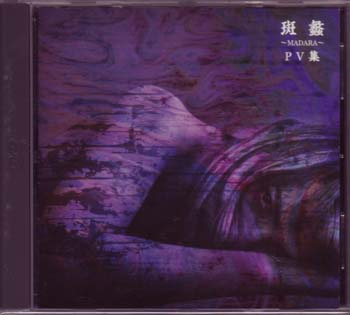 ピュアサウンド / sp_アーティスト_取扱商品