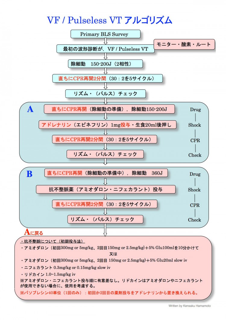 ACLSアルゴリズム - 救命救急センター 東京医科大学八王子医療センター