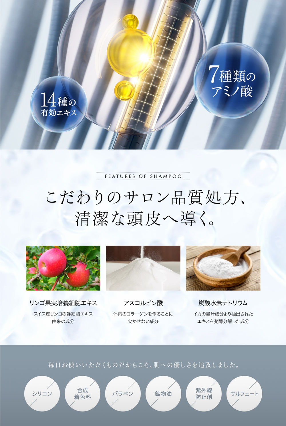 2023年 シャンプー＆トリートメント、ボディソープ、歯磨き粉を発売