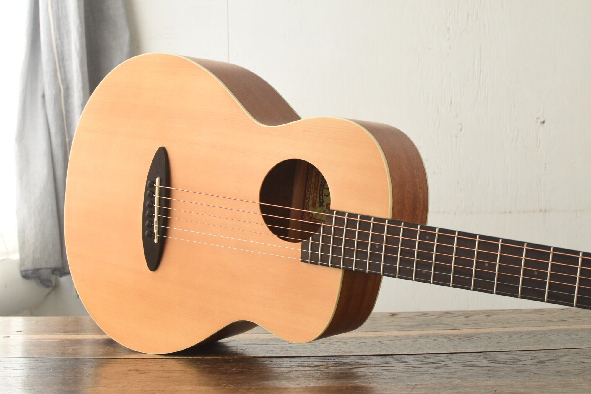 aNueNue Bird Guitar aNN-M1 | Quiet Village