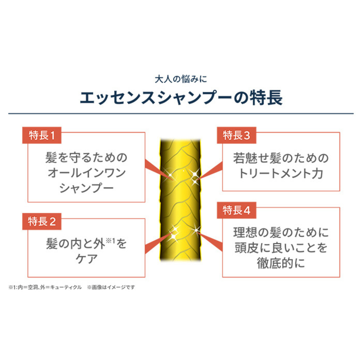 スキンビジョン プレミアムエッセンスシャンプー本体+レフィルセット