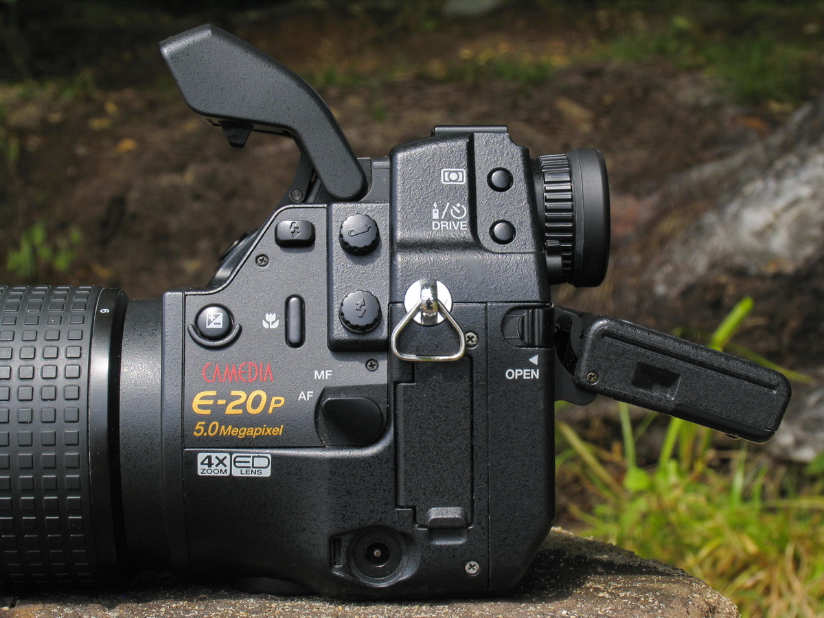 Olympus E-20, a review from the reader Radozhiva | Radozhiva
