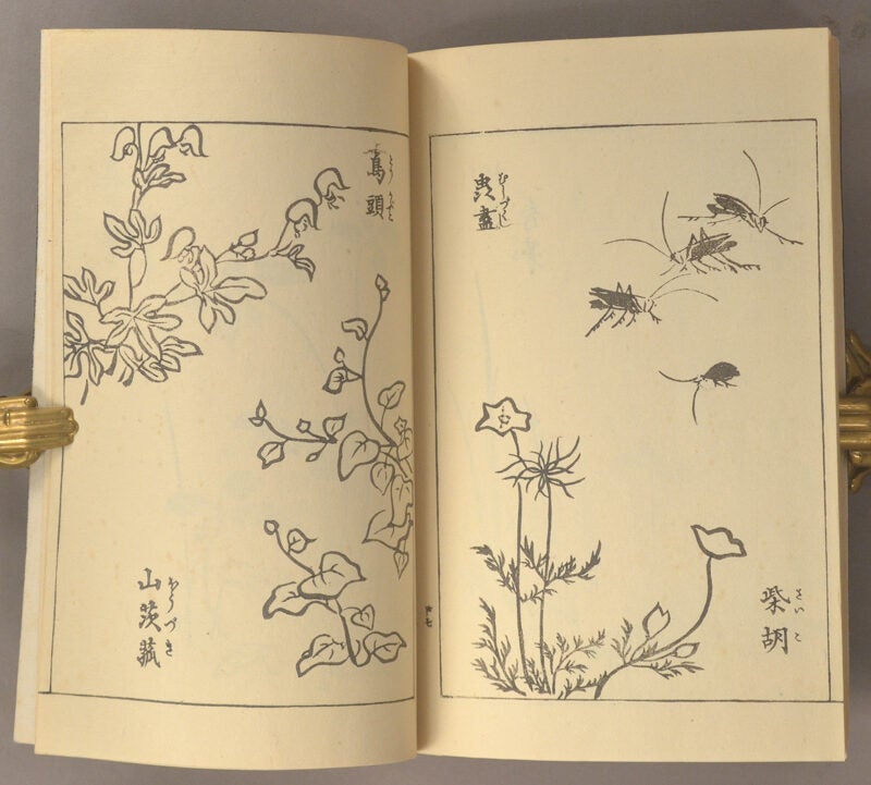 Kōrin Manga 光琳漫画 | Ogata Kōrin 尾形光琳