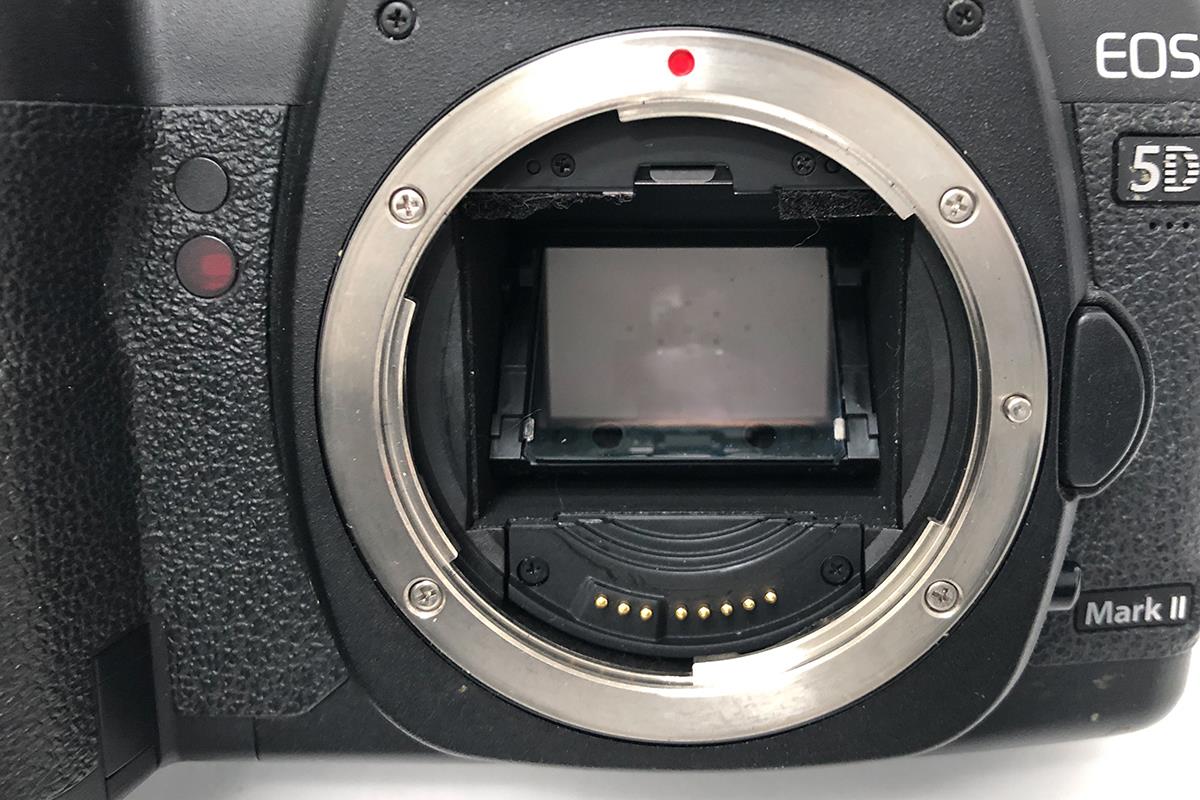 EOS 5D Mark II ボディ CA01-M2899-3V2A | キヤノン | デジタル一眼
