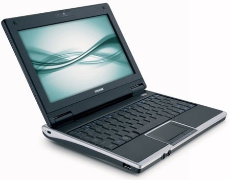 Toshiba NB100 netbook • The Register