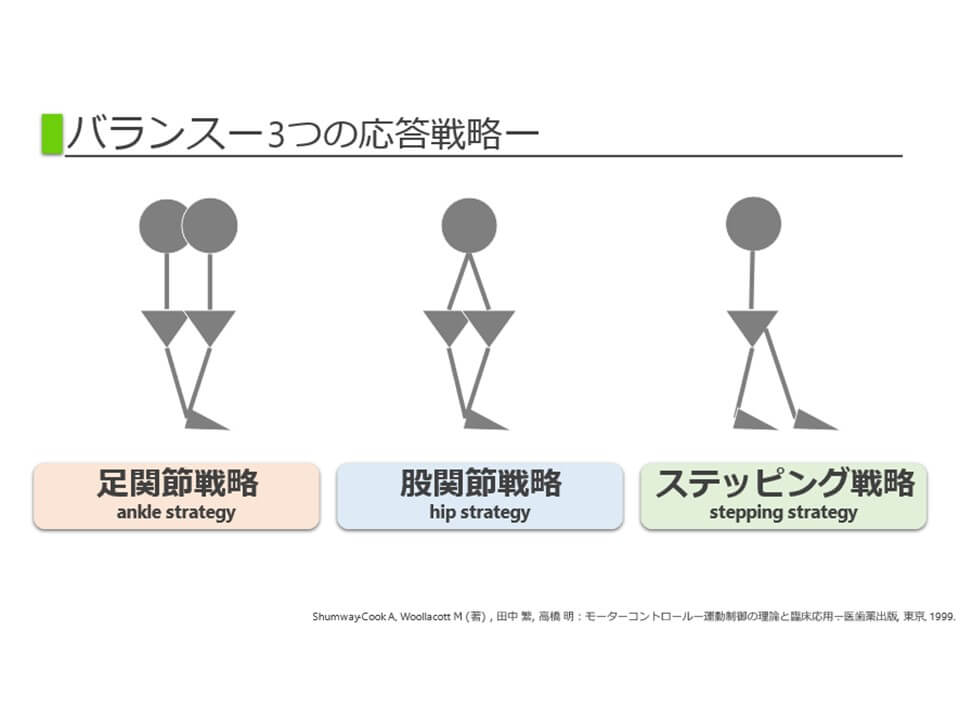 姿勢制御障害の評価と治療戦略～バランス・動作分析～【Part1】 | リハ