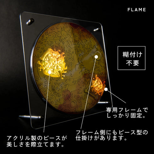 6月入庫分予約】宇宙の破片 VENUS 金星と専用フレームセット – ご褒美