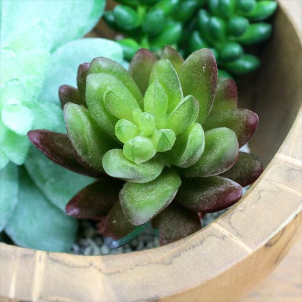 セダムのフェイク多肉植物[Aタイプ グリーン](63400) 【生活雑貨の