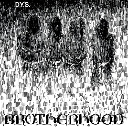 DYS - Brotherhood [LP] - RETRIBUTION NETWORK DISTRO