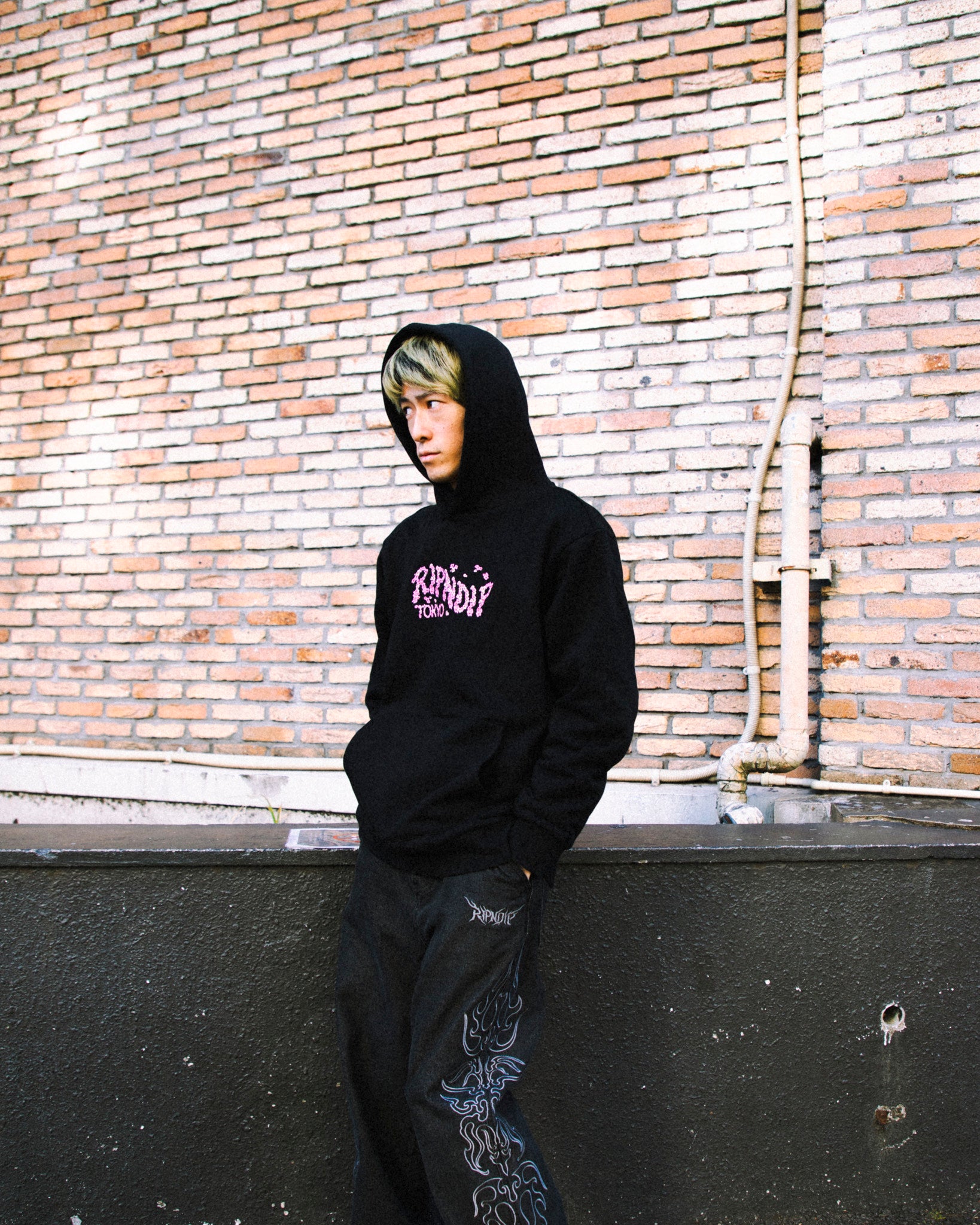 CHERRY BLOSSOM HOODIE (BLACK) – RIPNDIP TOKYO