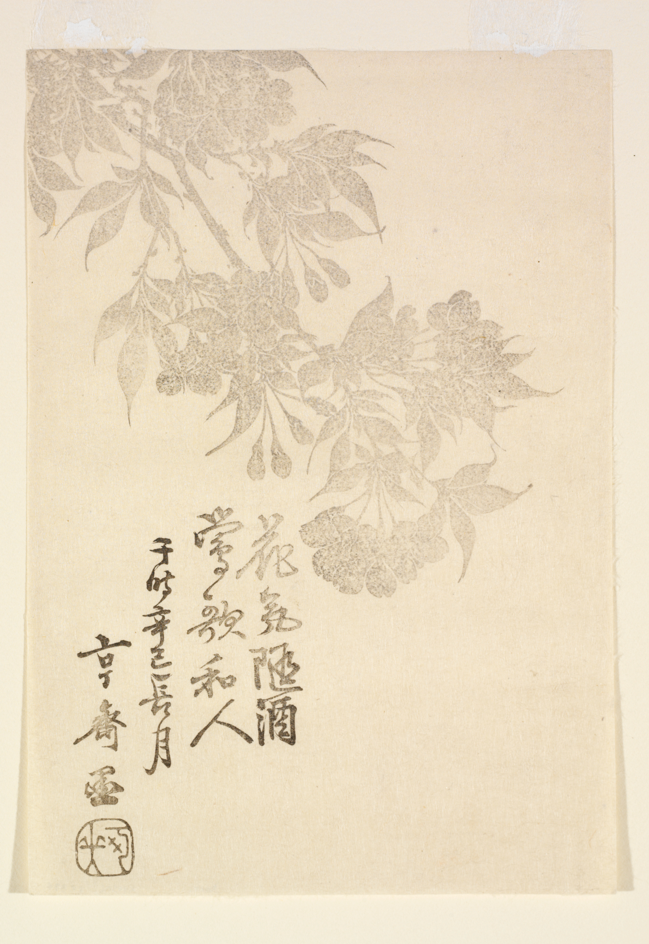 Collection | RISD Museum