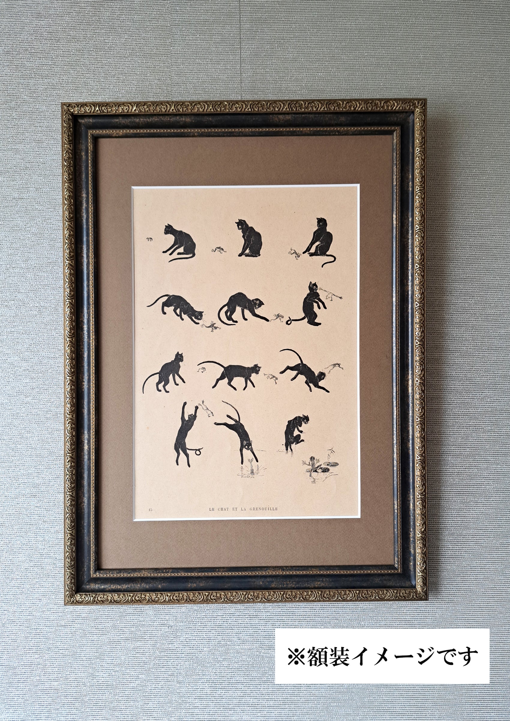 テオフィル・スタンラン ≪黒猫とカエル≫ 1898年 『猫たち』より