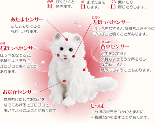 セガトイズが猫型ロボット「夢ねこプレミアム」発売へ！ | ロボスタ