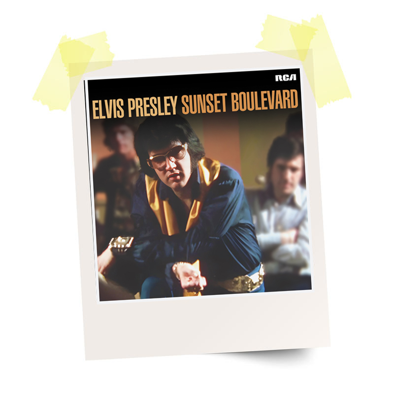 Elvis Presley SUNSET BOULEVARD '5CD Box-Set' – The Rocking Magpie