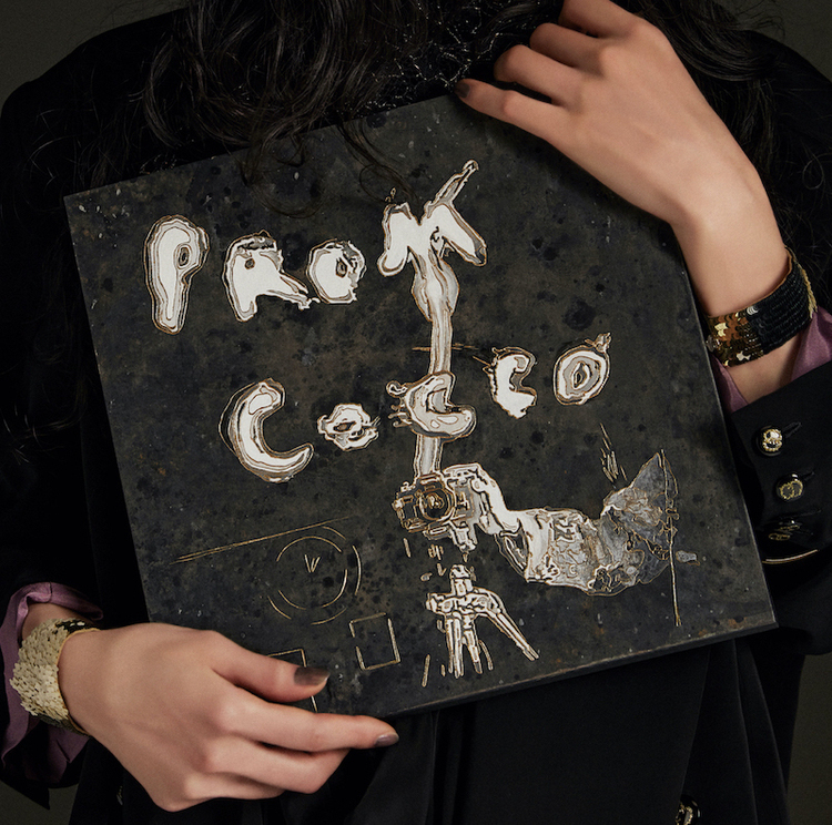 Cocco、デビュー25周年記念作品『プロム』3/23にリリース。これまでに