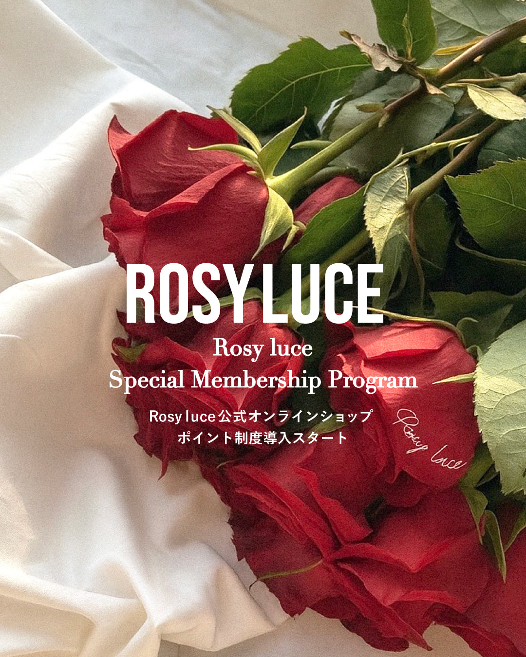 ROSY LUCE – Rosy luce