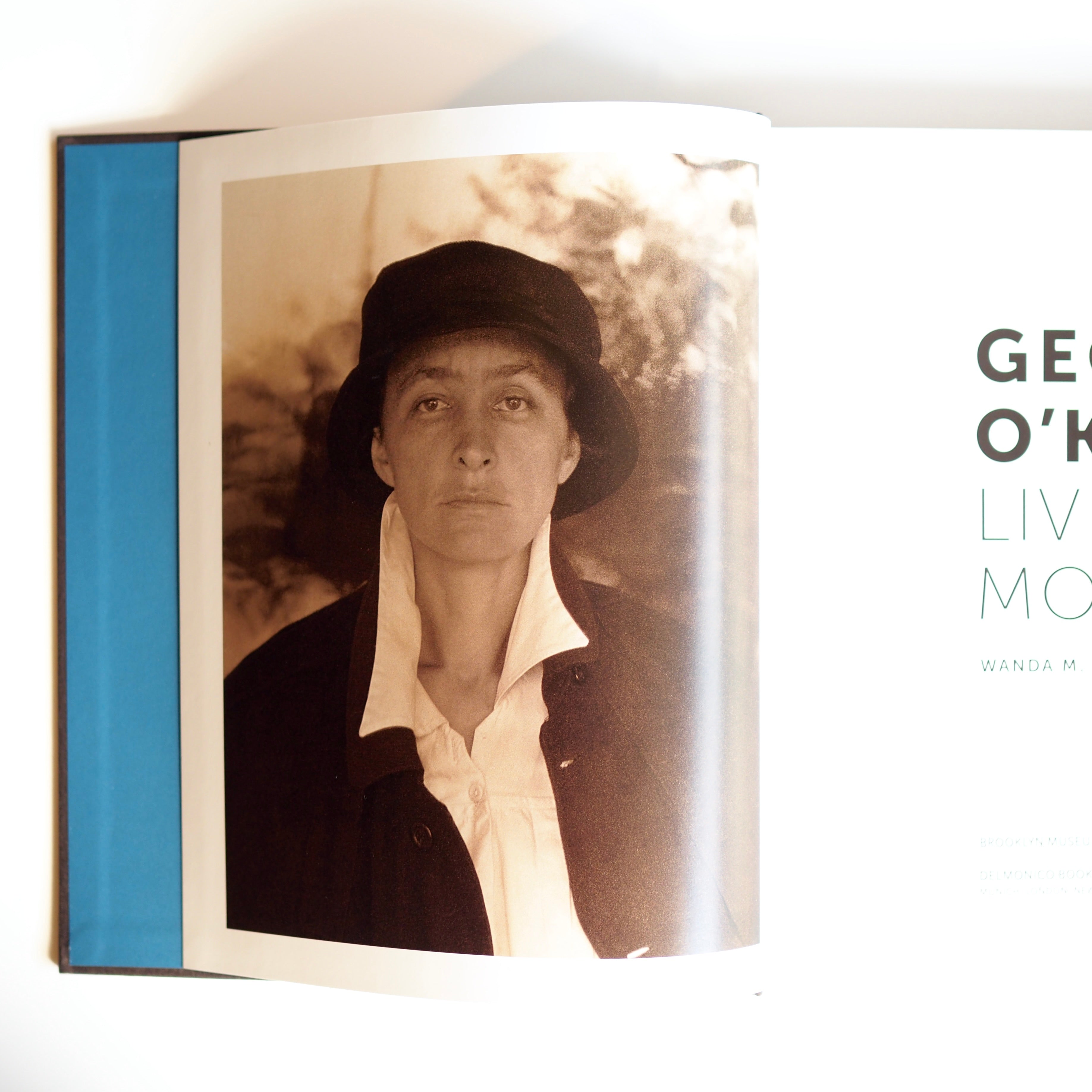 GEORGIA O'KEEFFE : LIVING MODERN [used]