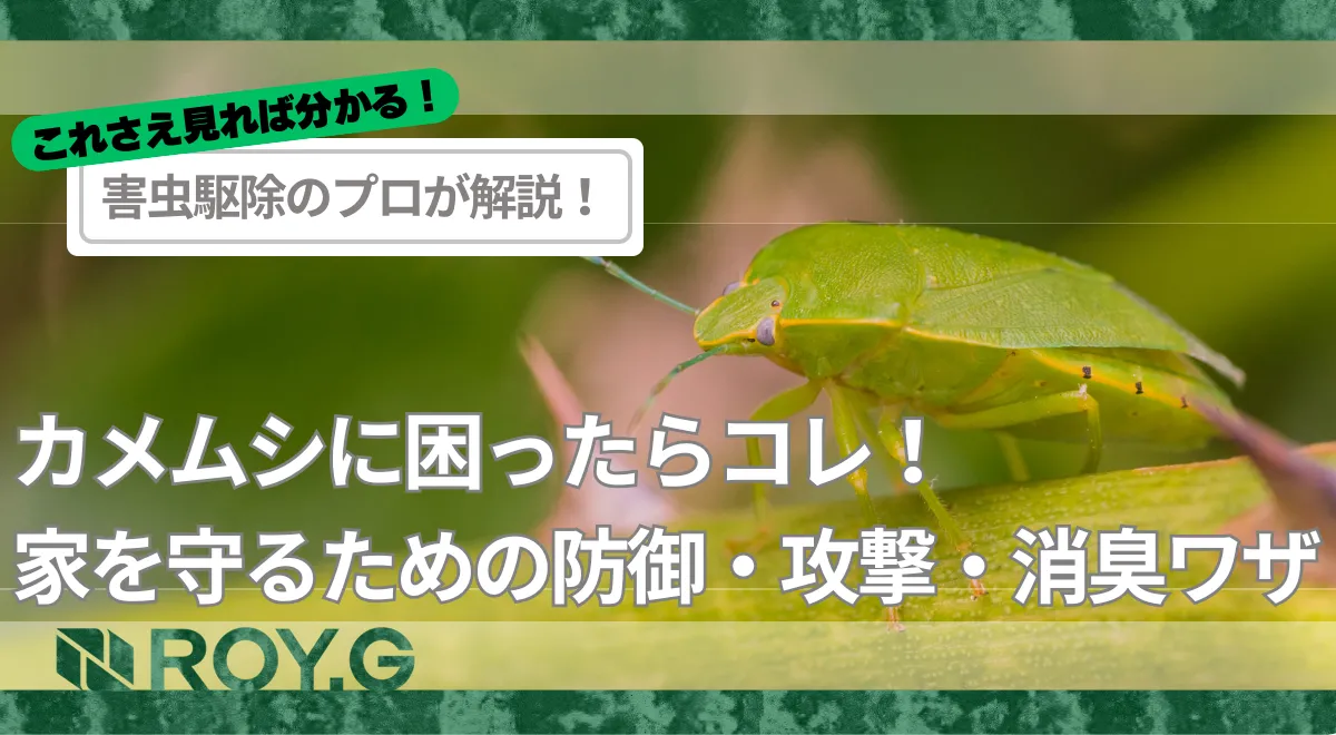 カメムシ撃退完全マニュアル！侵入・悪臭・駆除までを徹底解説 | ROY
