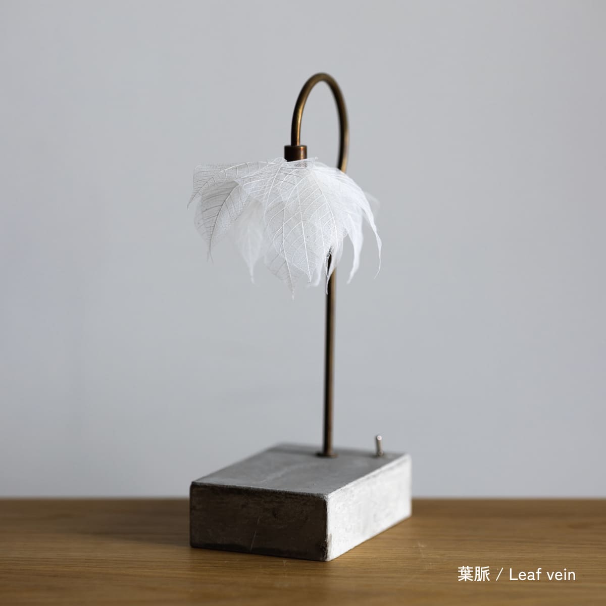 はいいろオオカミ＋花屋 西別府商店 森の小さな灯 | 石田ゆり子さんが