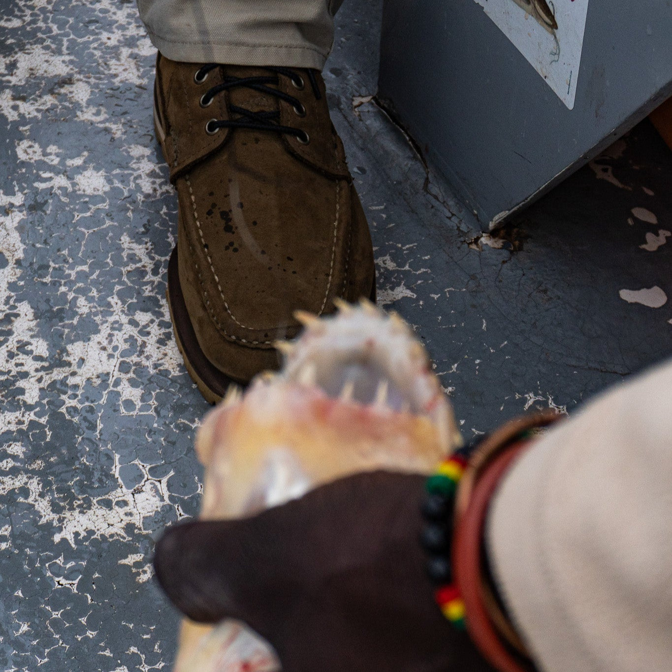 The Safari – Russell Moccasin