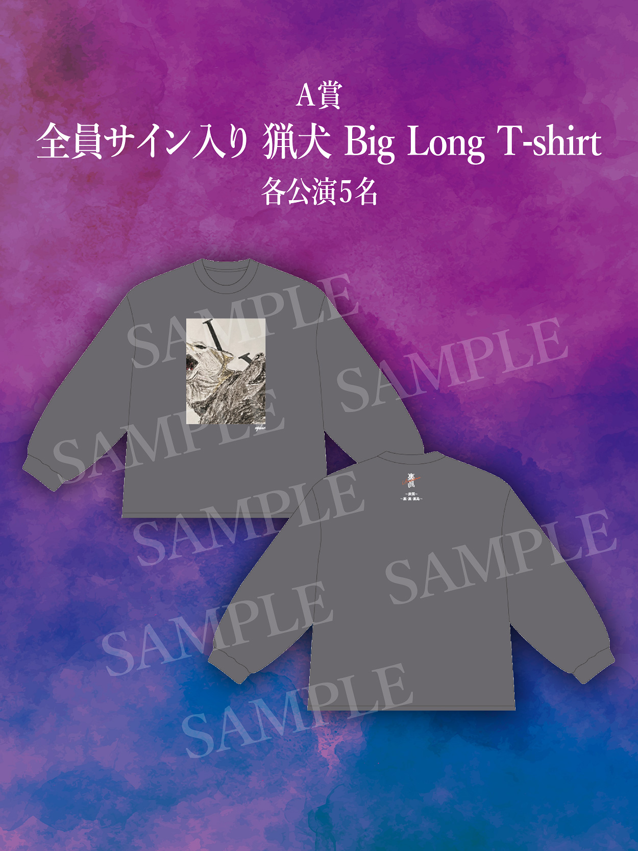 龍宮城 2025年2月22日 日本武道館「裏島」
