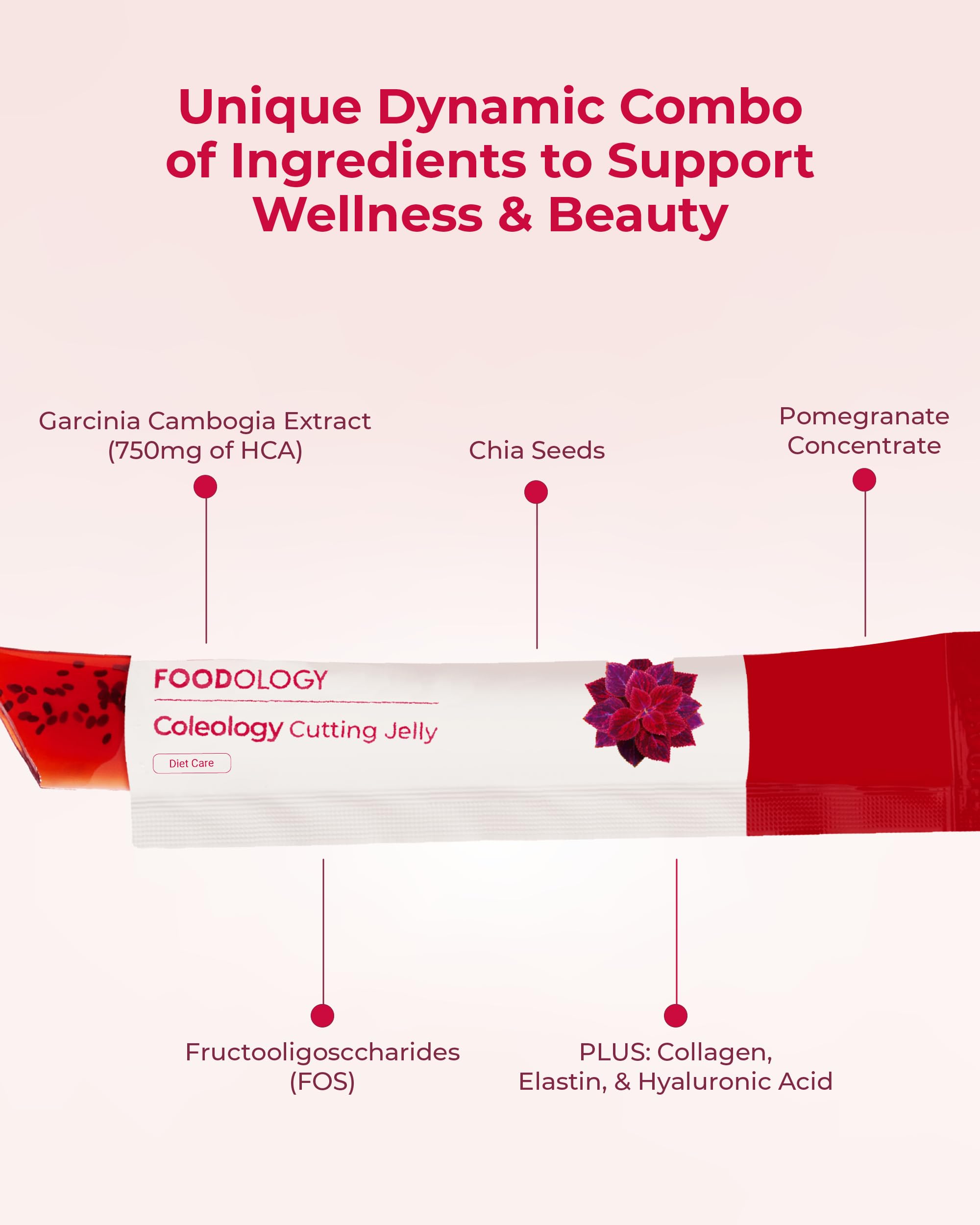 Foodology Coleology Cutting Jelly 25g + 10 sticks – S-Beauty