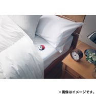 Pokémon GO Plus +」ポケモンセンター、ポケモンストアでの“店頭販売