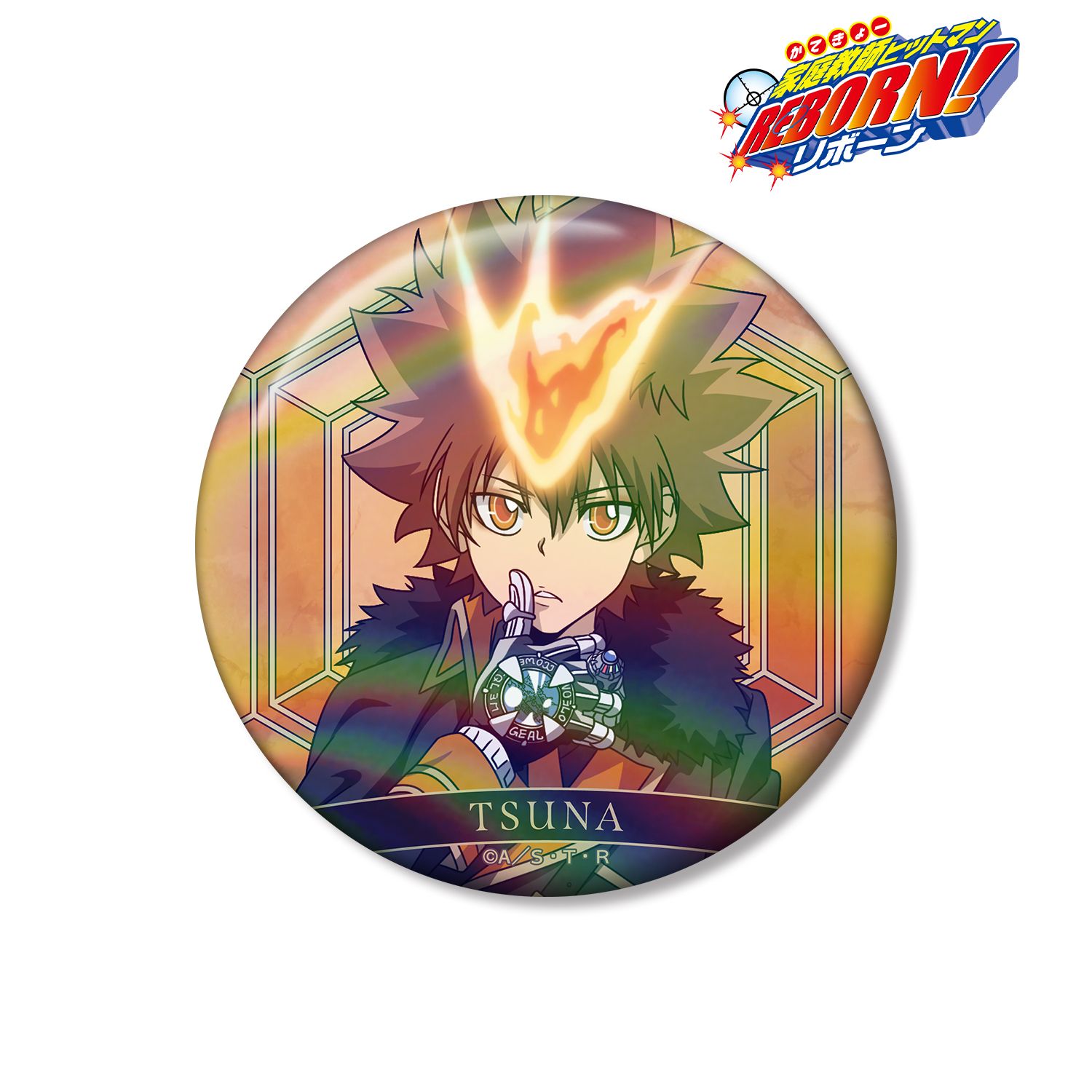 REBORN!】沢田綱吉 ツナ たまっぷ 缶バッジコレクション リボーン
