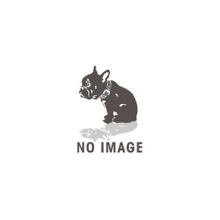 ダイヤのA ぬいぐるみマスコット 伊佐敷純｜ホビーの総合通販サイト