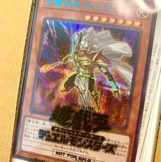 ブルーシークレット」の激安通販 | magi