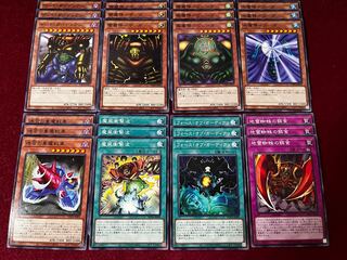 ゲート・ガーディアン デッキパーツ ノーマル24枚セット 24枚の通販