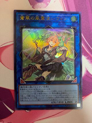 蒼翠の風霊使いウィン」の激安通販 | magi