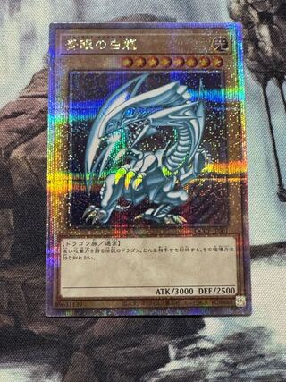 遊戯王 青眼の白竜 25th SEC PSA10 37-MA0109-12C 71HM0UmJO4L._AC_UF350,
