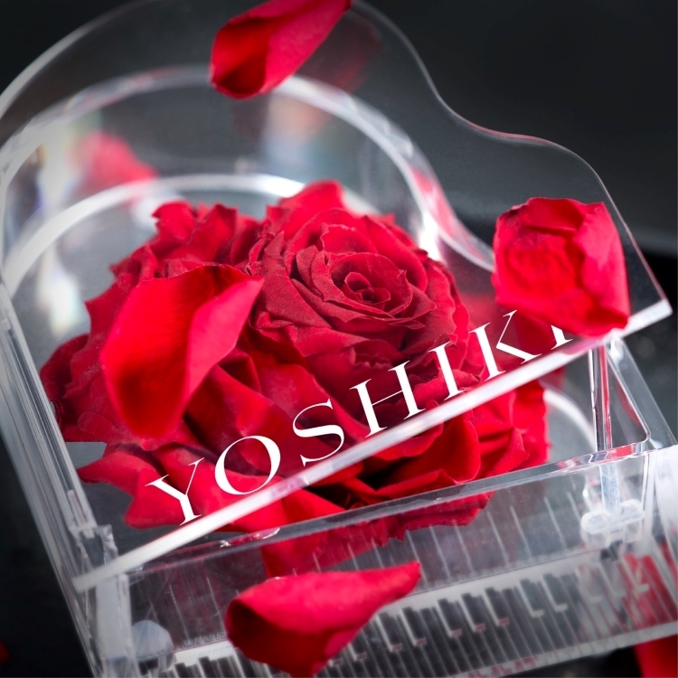 STORE | YOSHIKI OFFICIAL STORE