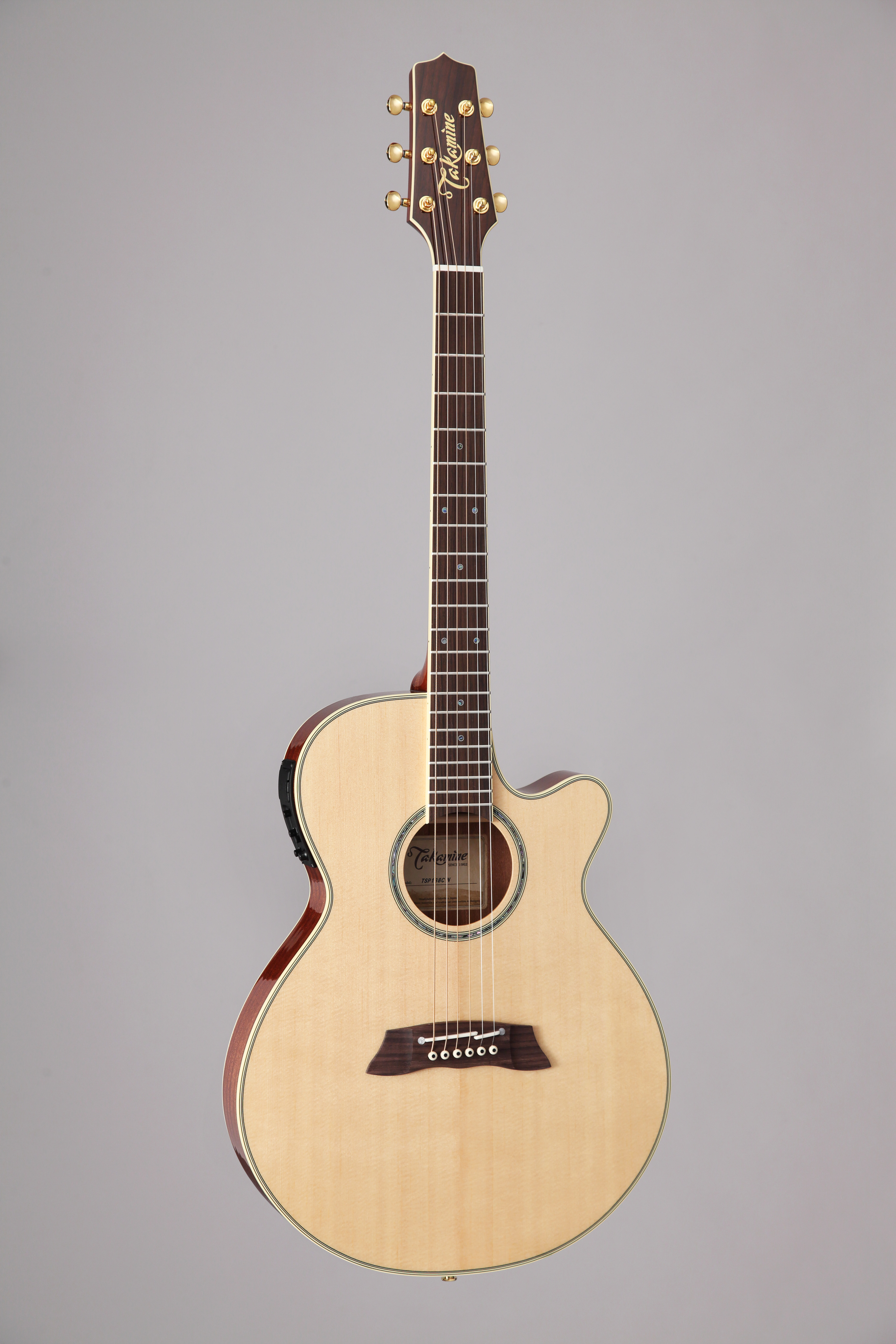 Takamine Guitars :: product-details