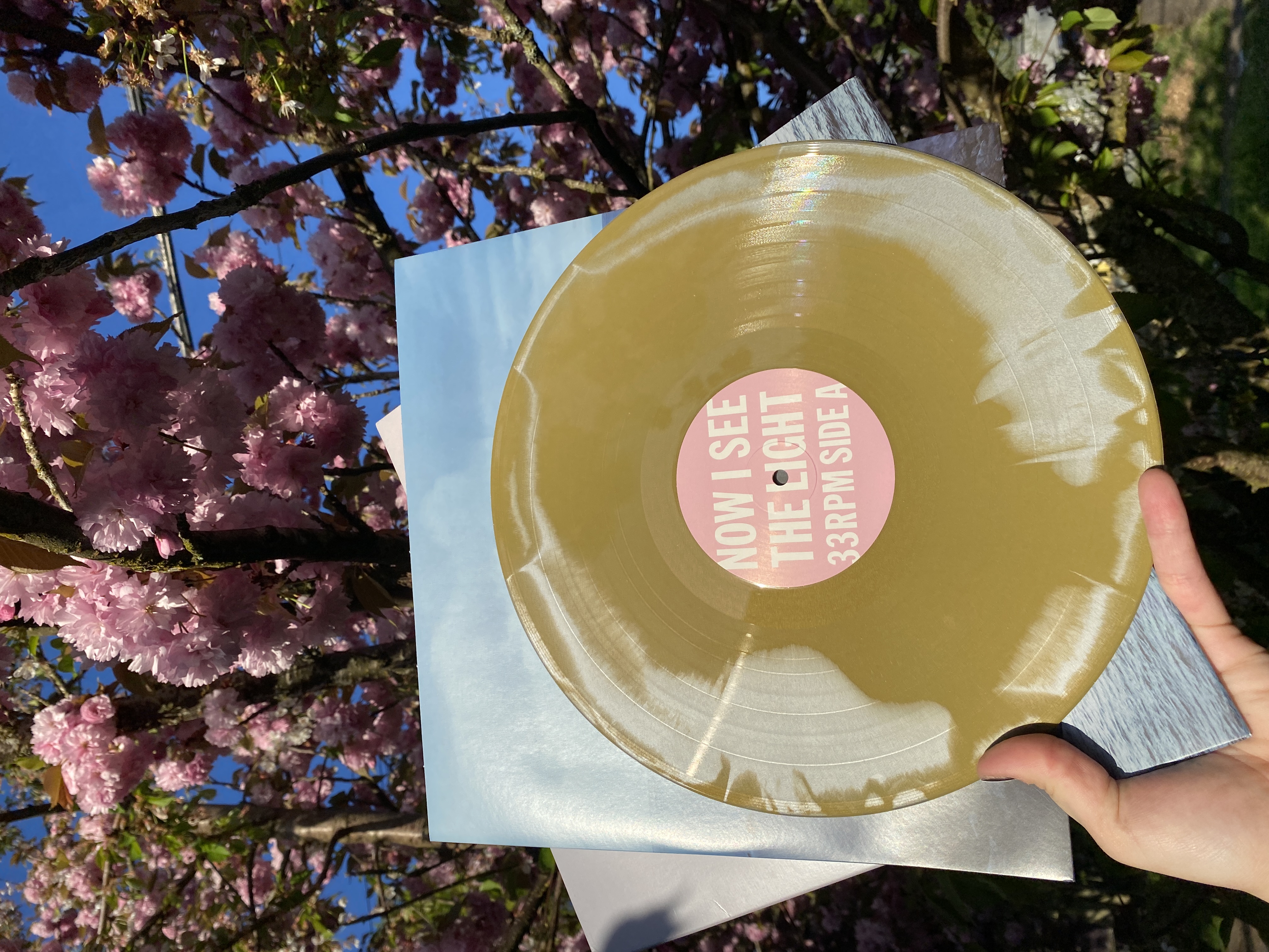 Topshelf Records - toe - NOW I SEE THE LIGHT