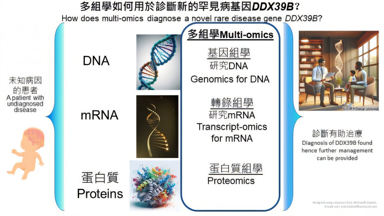 Researchers identify novel gene behind neurodevelopmental syndrome