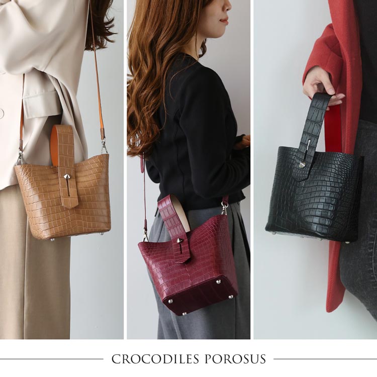 スモールクロコダイル ポロサス ハンドバッグ マット 加工 保証書 付き