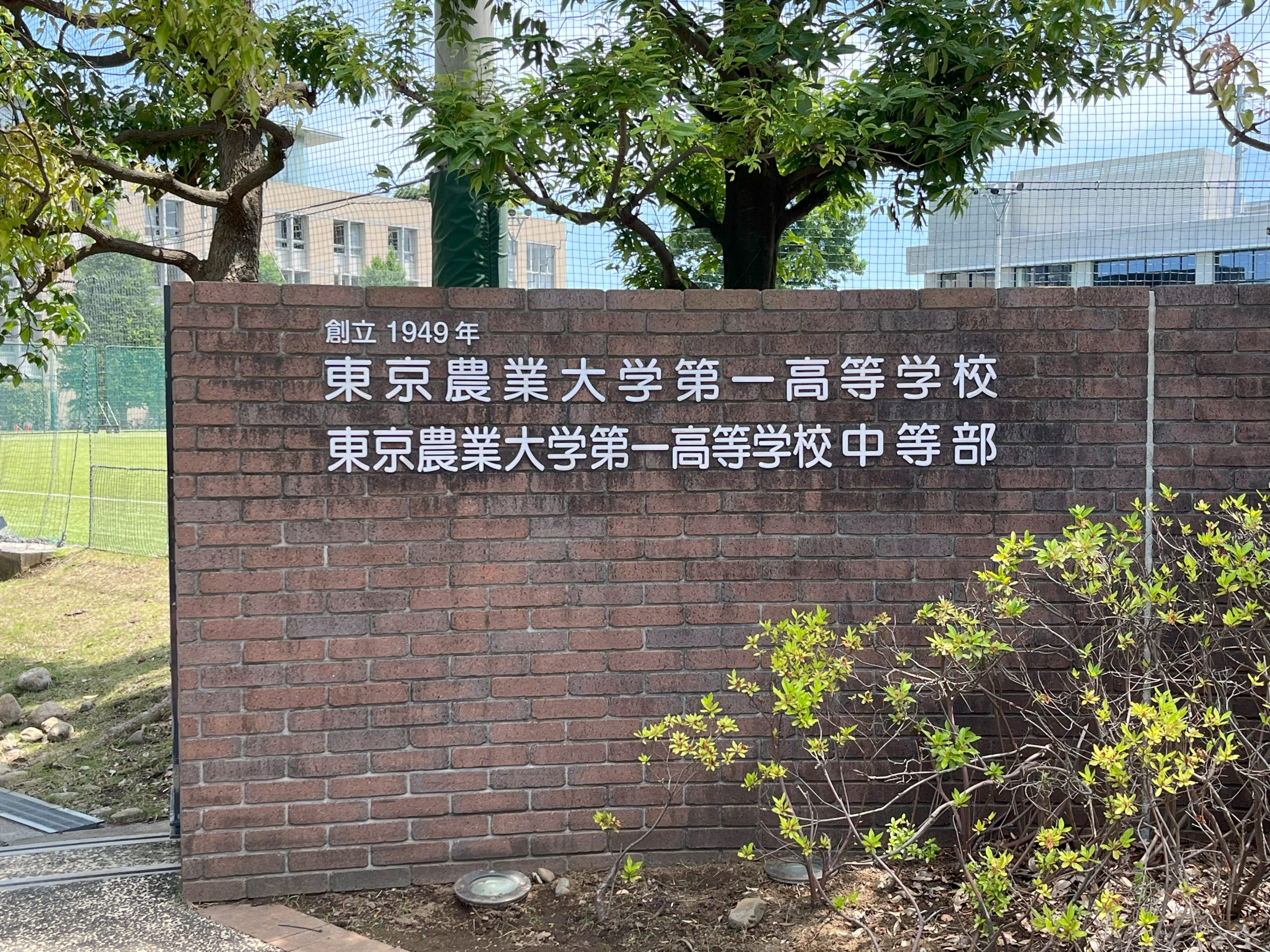 2025年版】青山学院中等部 説明会レポート